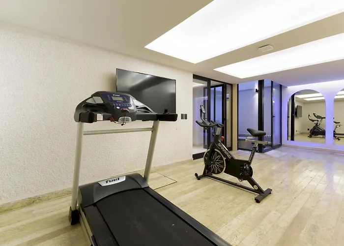 Hom 2b Capitalia Palacio Polanco 2br Prime